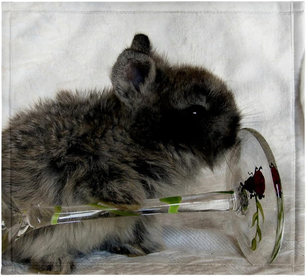 3dRose Lionhead Bunny and Wine Glass 22x30 Bath Hand Pool Towel