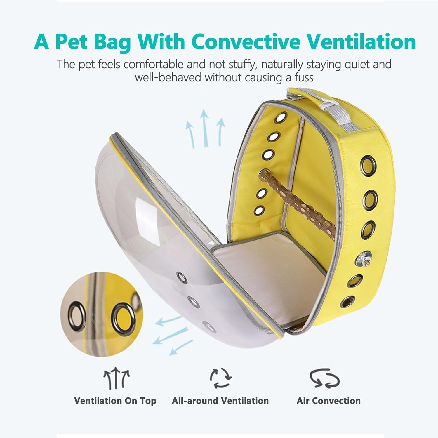 Transparent Parrot Backpack: Wooden Perch, Shoulder Strap, Breathable. Ideal for outings with Parrots, Magpies, & Birds. Comfortable & Spacious. (Light Blue-2)