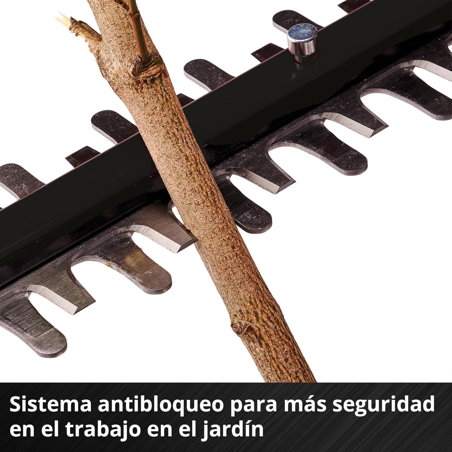 Cortasetos telescópico con batería GP-HH 18/50 Li T BL-Solo Einhell Professional Power X-Change (18V, longitud de corte 50 cm, distancia entre dientes 25 m, Brushless, 8 veces inclinable, sin batería)