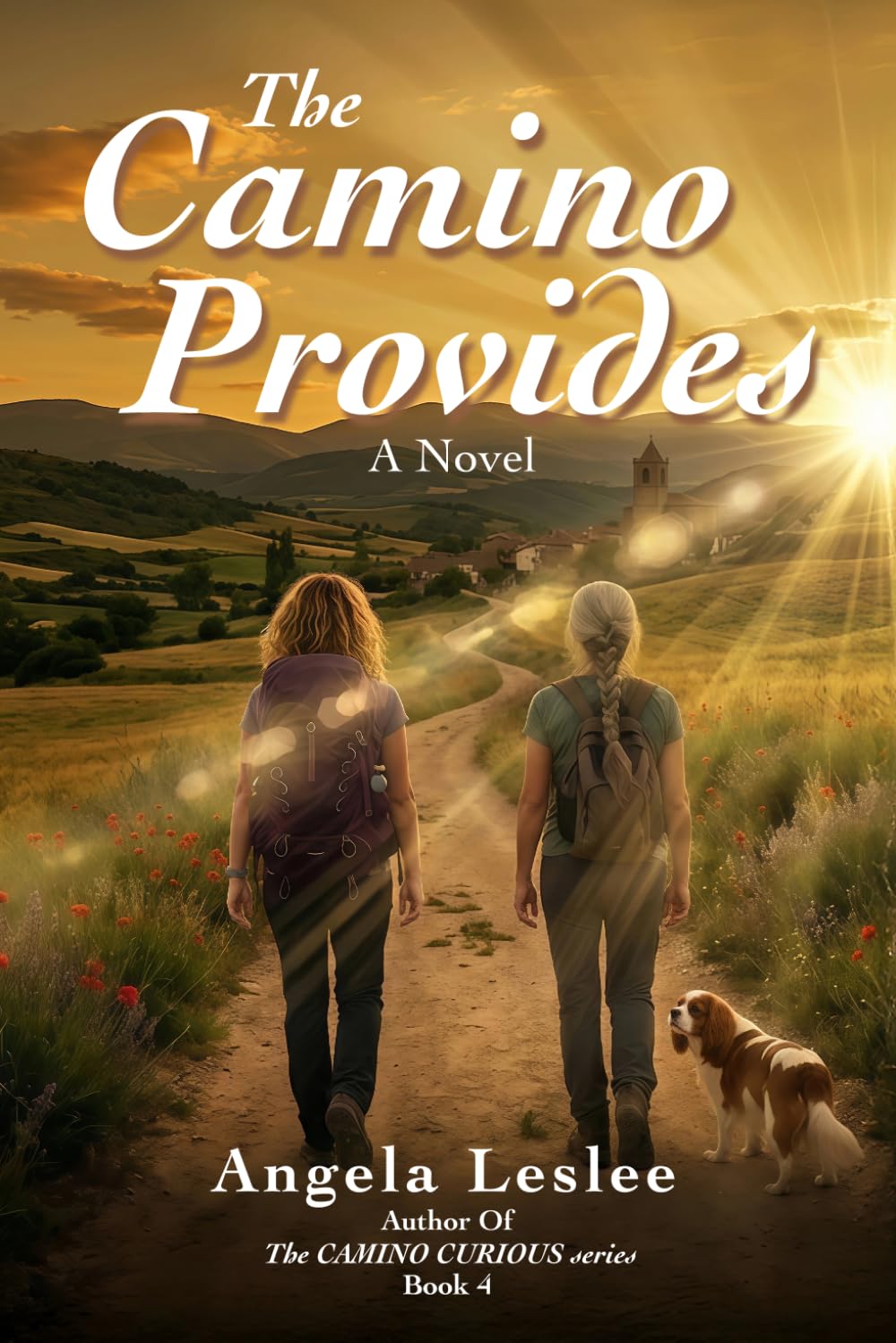 The Camino Provides (Camino Curious Series)