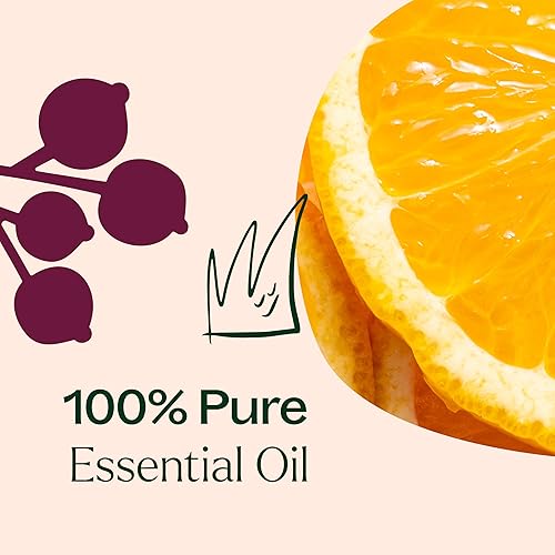 Miniatura 5 de Holiday Season Synergy mezcla de aceites esenciales. 100% puros, sin diluir, grado terapéutico. (mezcla de: Naranja dulce, corteza de canela,