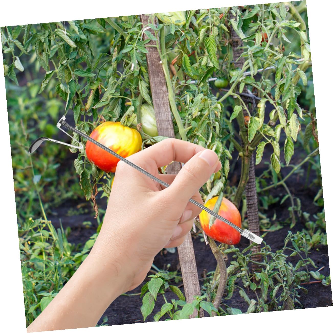 Ricambi Legatrice Piante Set 2 Pezzi Lame Perni e Molla per Strumenti di Legatura Manuale Uso in Vigneti e Orto