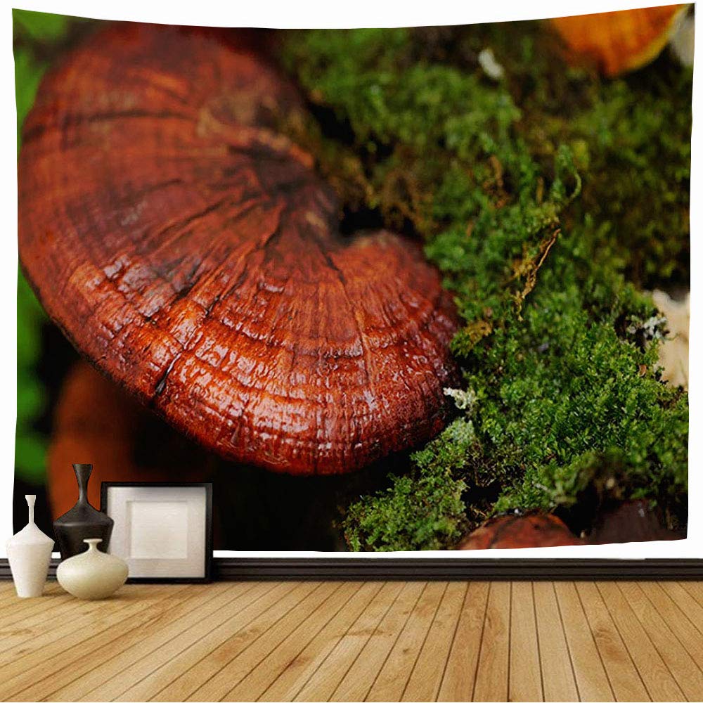 Tapestry Wall Hanging Red Log Ganoderma Close Lingzhi Mushrooms Food Drink Reishi Nature Green Lucidum Fern Dew Droplets Vintage Tapestry for Bedroom Home Dorm 80x60 Inch