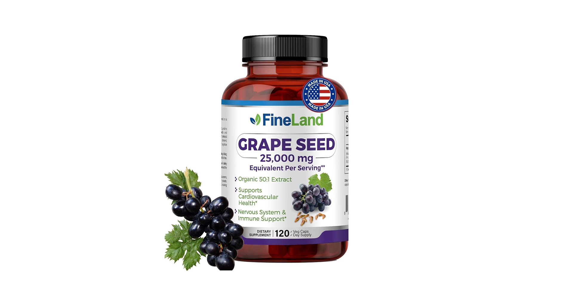 71PkIY9mDQL.jpg_BO30,255,255,