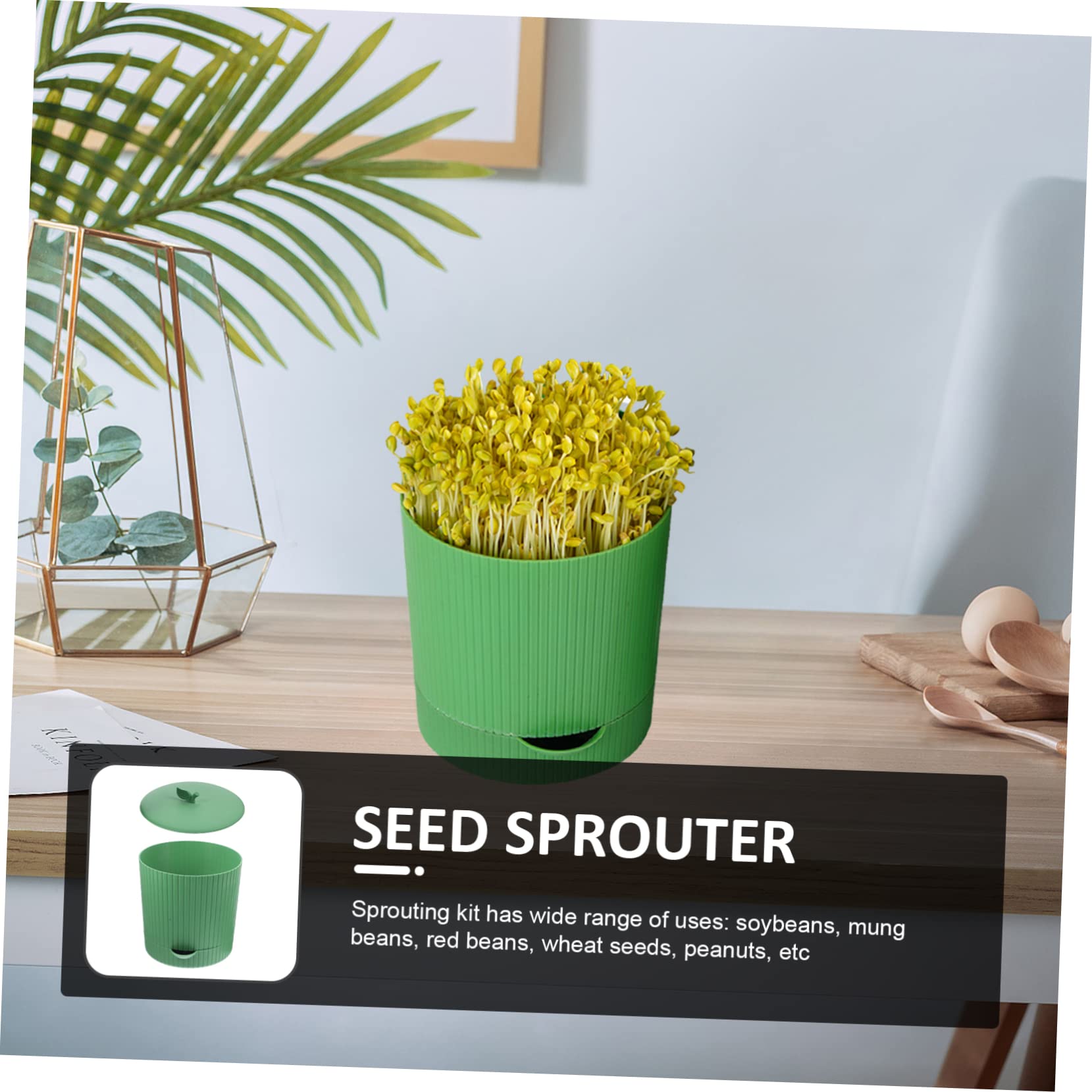 Abaodam Pot Plastique pour Germination De Graines Kit De Culture De Germes Plateau De Graines pour Micro-pousses Matériel De Pépinière pour Culture Intérieure
