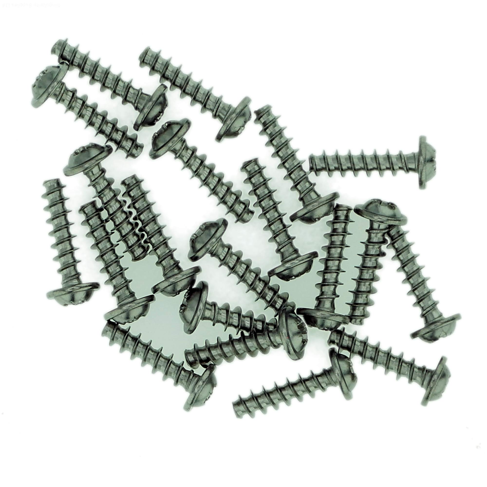Singularity Supplies D3 (3Mm X 12Mm) Pozi Pan Screws For Plastic (Flanged) - Stainless Steel (A2) (Pack Of 20)