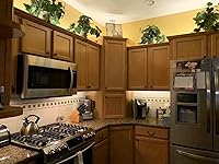 Review Image by KDHayner