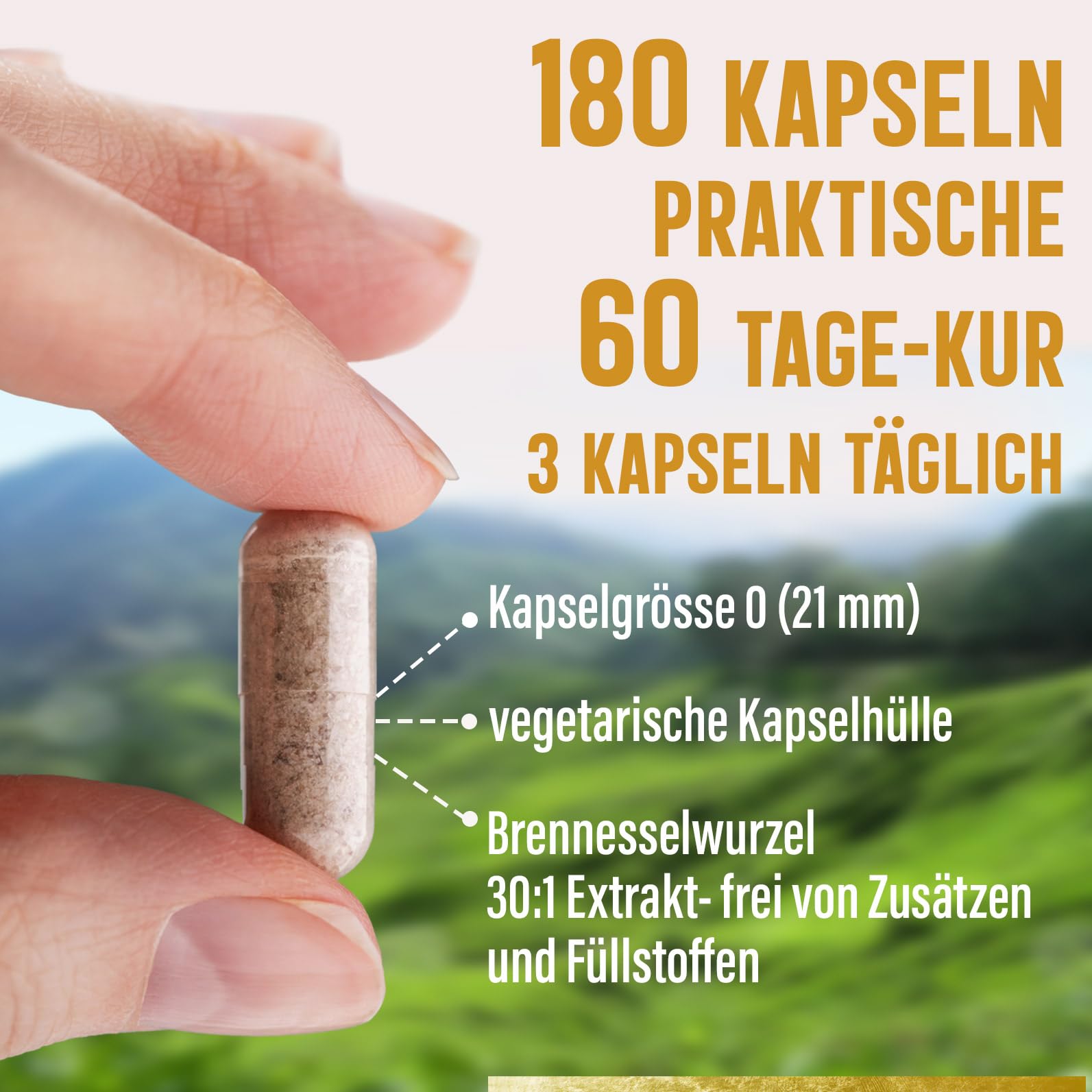 Brennnessel Wurzel Kapseln Hochdosiert – 400 mg 30:1 Extrakt pro Kapsel | 1.200 mg Tagesdosis | Entspricht 36.000 mg Rohwurzel | 50% Polysaccharide | 180 Vegane Kapseln | Dorado Superfoods®