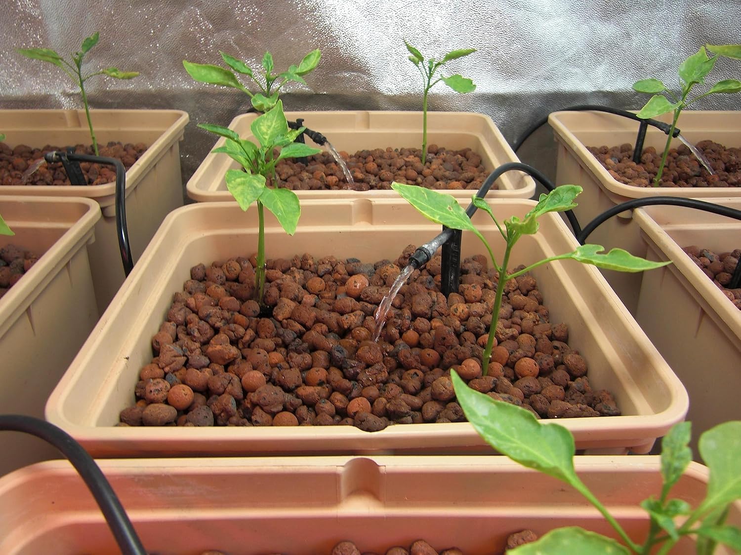 Arlita Expandida para Plantas | Bolitas para Macetas y Jardines| Arlita para Drenaje | Forma de Bolas | Tierra Húmeda para Suelo (Saco 20L)