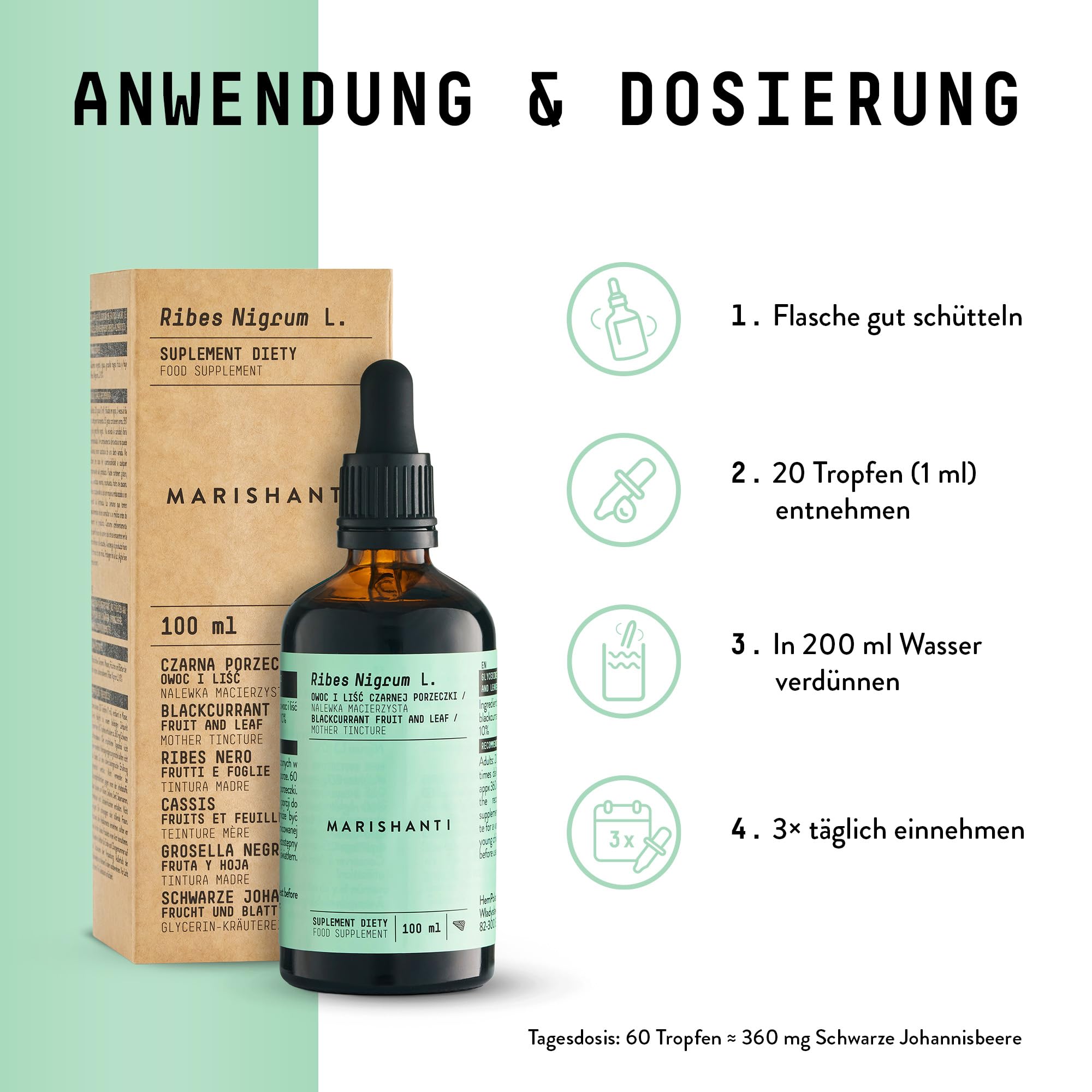 Schwarze Johannisbeere (Ribes Nigrum L.) Alkoholfreie Urtinktur – flüssiger Extrakt – Tropfen – 100 ml – Nahrungsergänzungsmittel – Marishanti – 100% natürlich und vegan