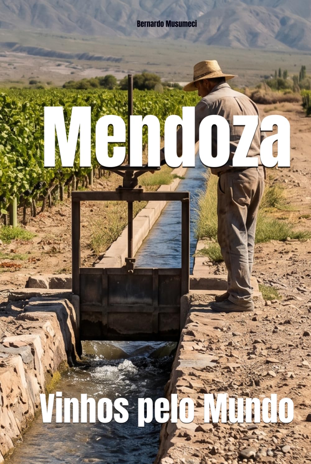 Mendoza: Vinhos pelo Mundo (Wines of the World: Argentina)