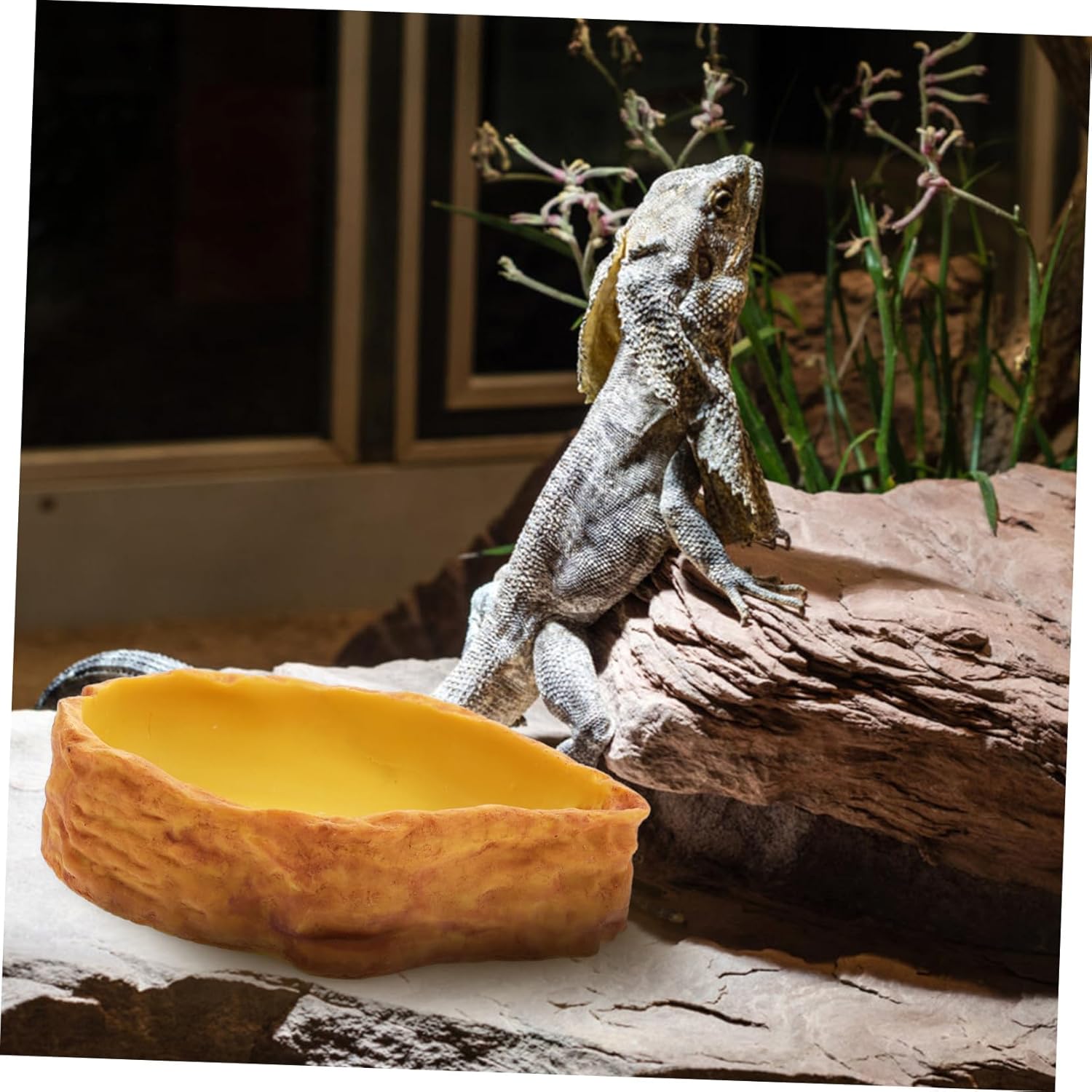 POPETPOP Lifelike Reptile Water Dish Simulated Rock Landscape Basin Tortoise Feeding Bowl Lizard Holder Pet Supplies