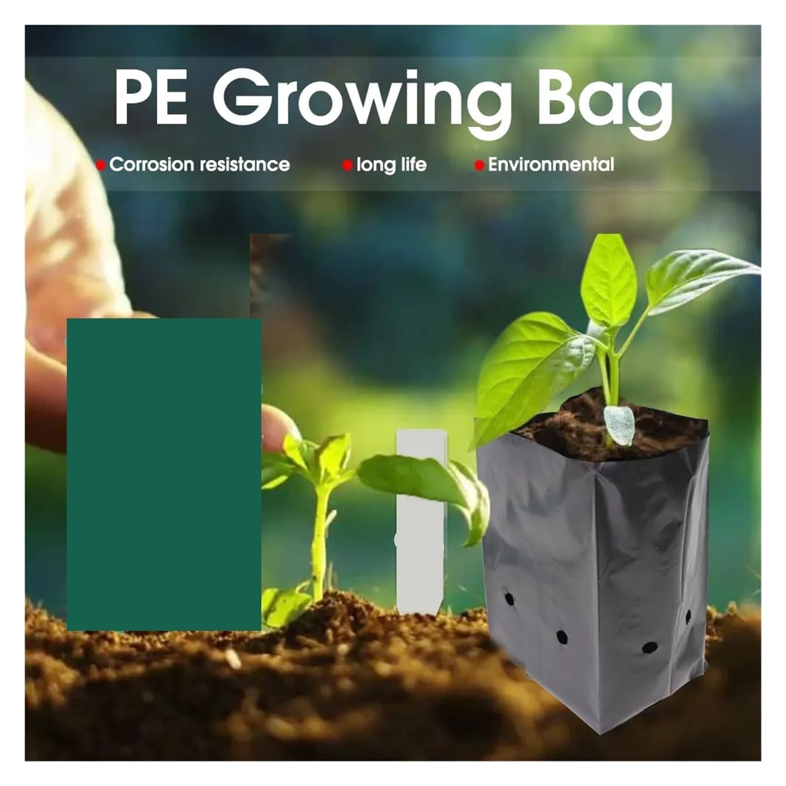 CNANRNANC Lot De 100 Sacs De Plantation Plastique Épais Avec Trous Respirants