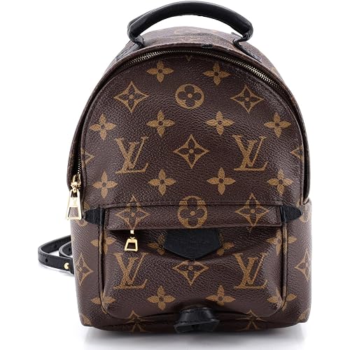 Louis Vuitton, Pre-Loved Palm Springs Backpack Monogram Canvas Mini, Brown