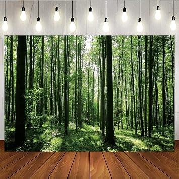 Jungle Forest Photography Backdrop 10x8ft Green Rainforest Sunlight Grassland Wonderland Nature Landscape Background for Spring Adventure Camping Hiking Theme Party Decoration Banner Photoshoot Prop