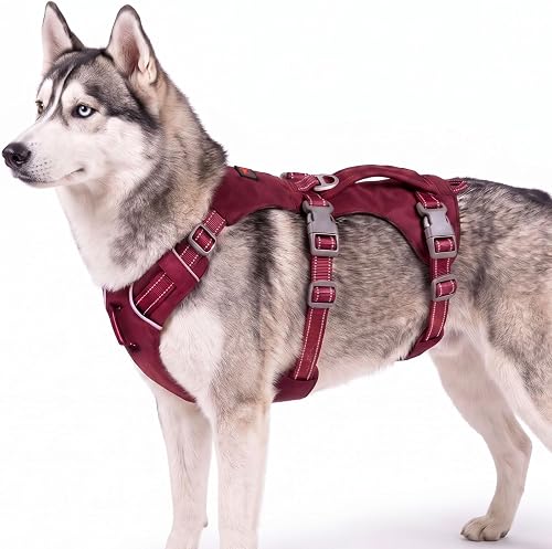 Tuff Pupper TrailBlaze Dog Harness | Lightweight Adjustable No-Pull Dog Harness | Multifunctional Outdoor Pet Gear | Strong Durable Breathable | Comfortable Secure Fit | Quick Handling Safety Harness