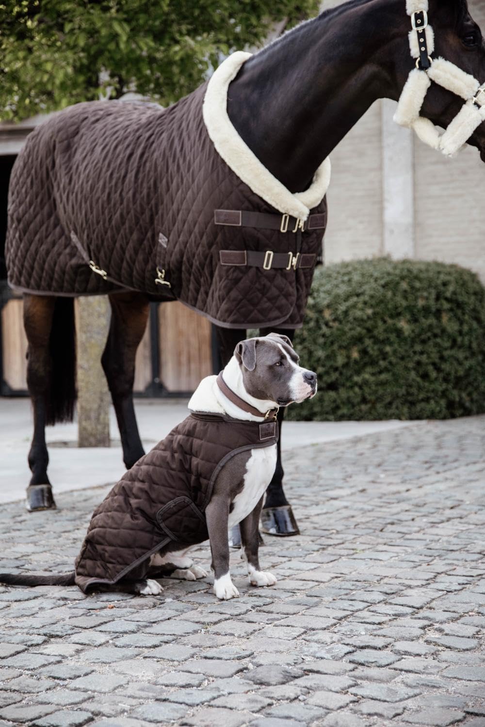 KENTUCKY Cappotto per cani Dog Coat Marrone Taglia SM