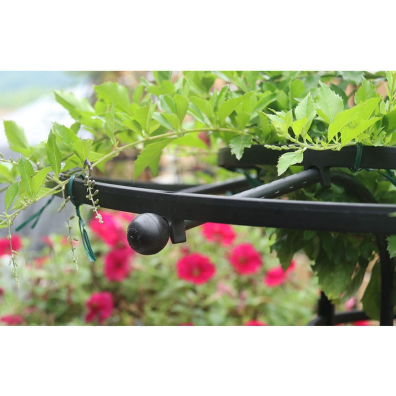 Obélisque de Jardin 90 180 210cm Tuteur Plant Grimpante | Jardin Tuteurs de Plantes | Treillis Fleur Soutien en Forme de Tour Roses, Tomates, Concombres, Fleurs, Raisins et Pois(White,HIGH: 90cm/3ft)