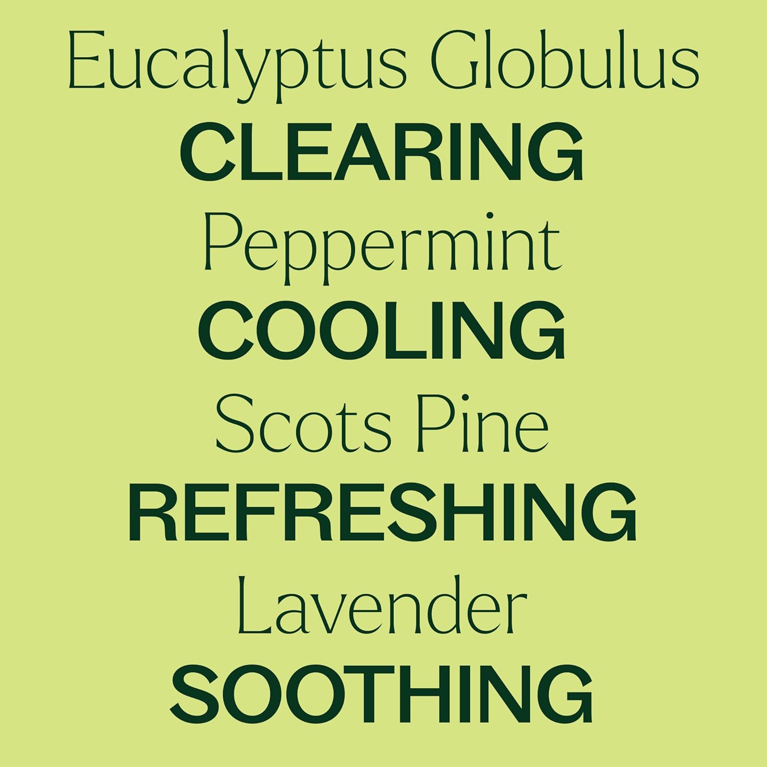 Plant Therapy Respir Aid Essential Oil Blend 100 mL (3.3 oz) Sinus, Airway and Congestion Clearing Synergy Blend 100% Pure, Undiluted, Natural Aromatherapy, Therapeutic Grade - Image 4