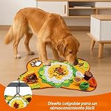Ver la foto 5