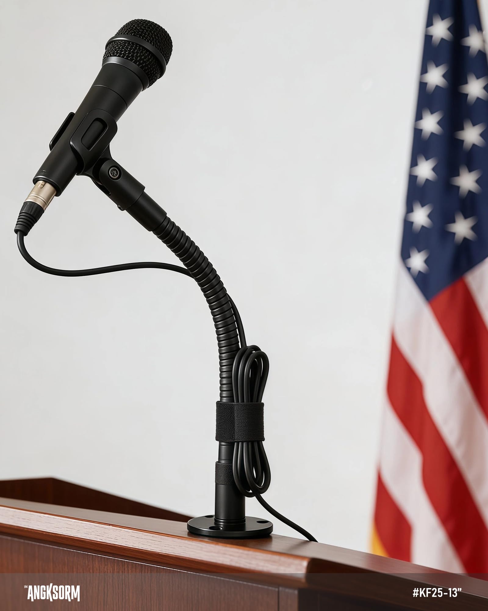 TMS-189 - Braccio per microfono da 33 cm, flessibile, a collo d'oca, con base di montaggio, per tavolo, pareti, podio, podcasting, streaming, radio Broadcast Studio, TMS-189