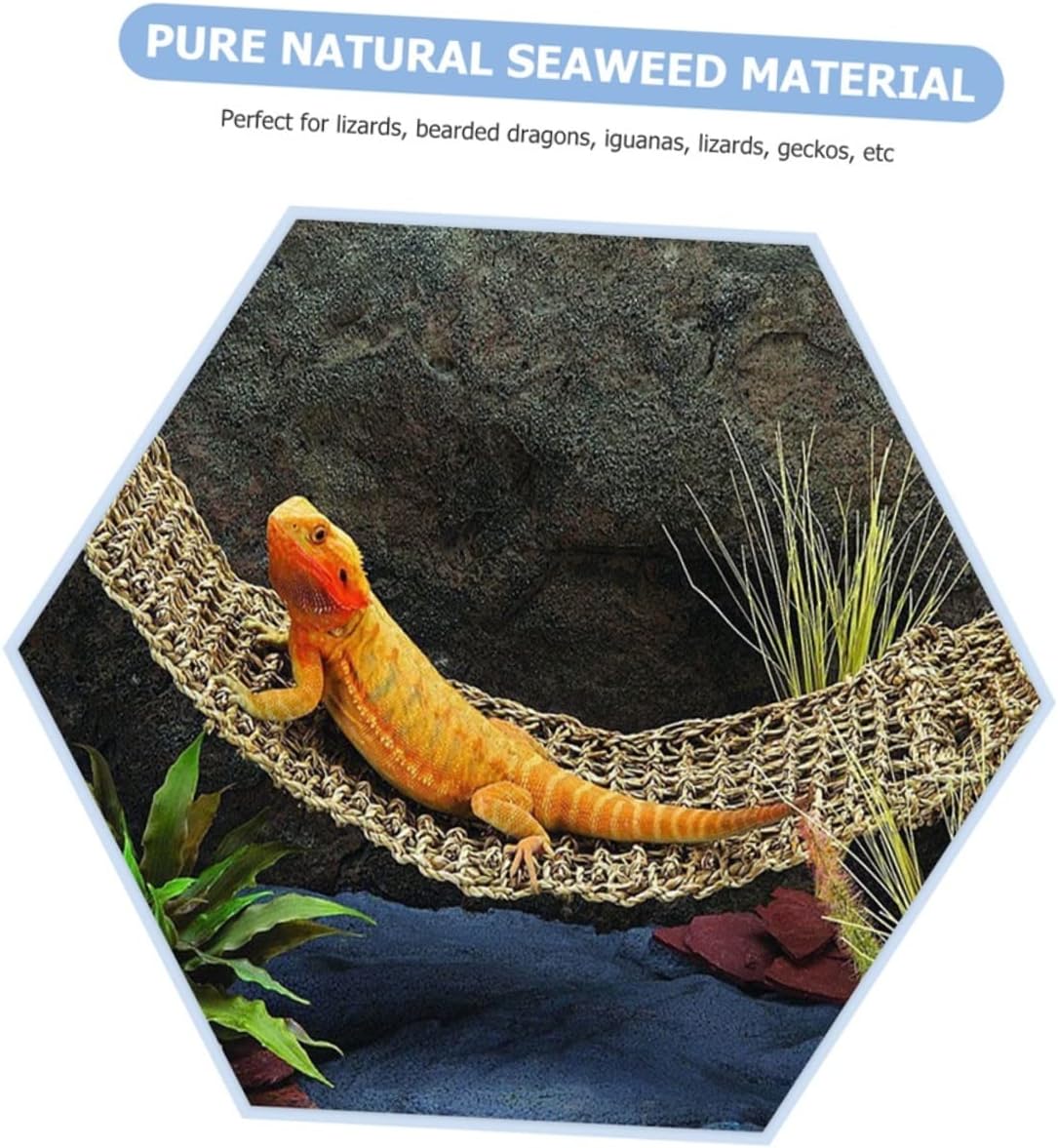 Milisten 2pcs Gecko Hide Reptile Bedding Terrarium Reptile Hammock for Bearded Dragons