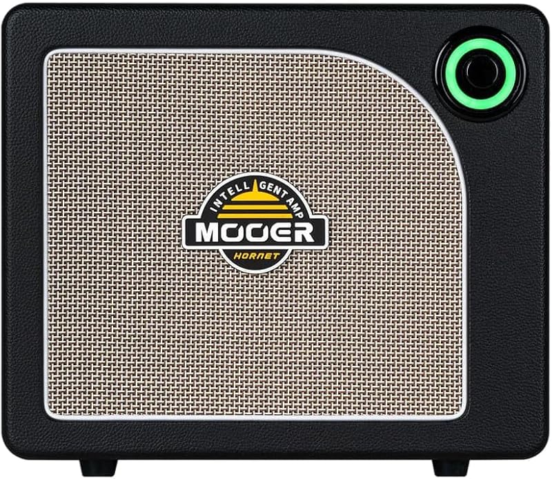 Mooer Hornet 15i
