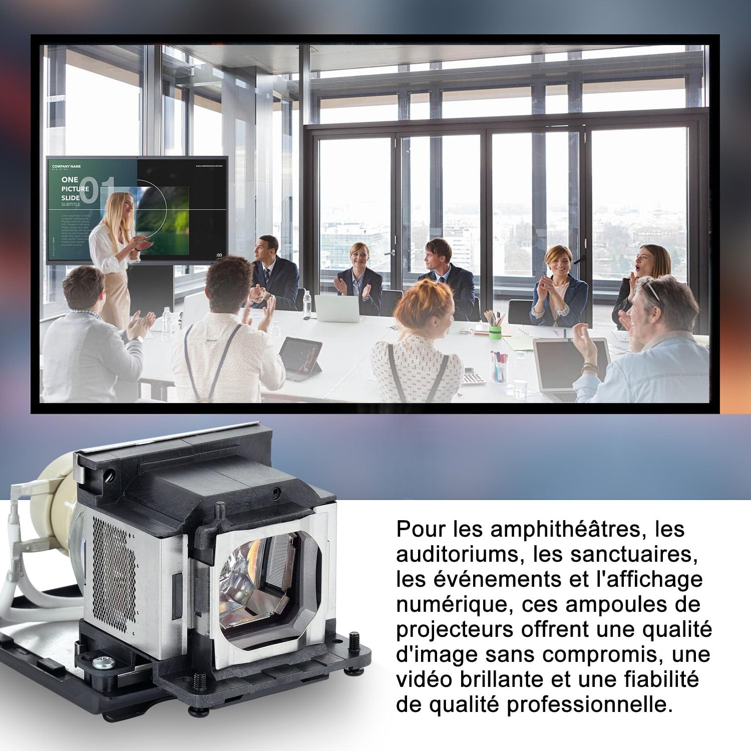 Lampe de Vidéoprojecteur pour Sony LMP-E220 VPL-SW630 VPL-SX630 VPL-SW620 VPL-SW620C VPL-SW630C VPL-SW630M VPL-SW631CM VPL-SW631C VPL-SW631M VPL-SW631 VPL-SW635C VPL-SW636C VPL-SX631 LMPE220