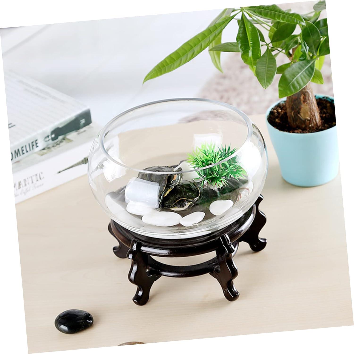 2pcs Round Glass Fish Bowl Green Succulent Plant Container Hydroponic Terrarium Desktop Decor for Home