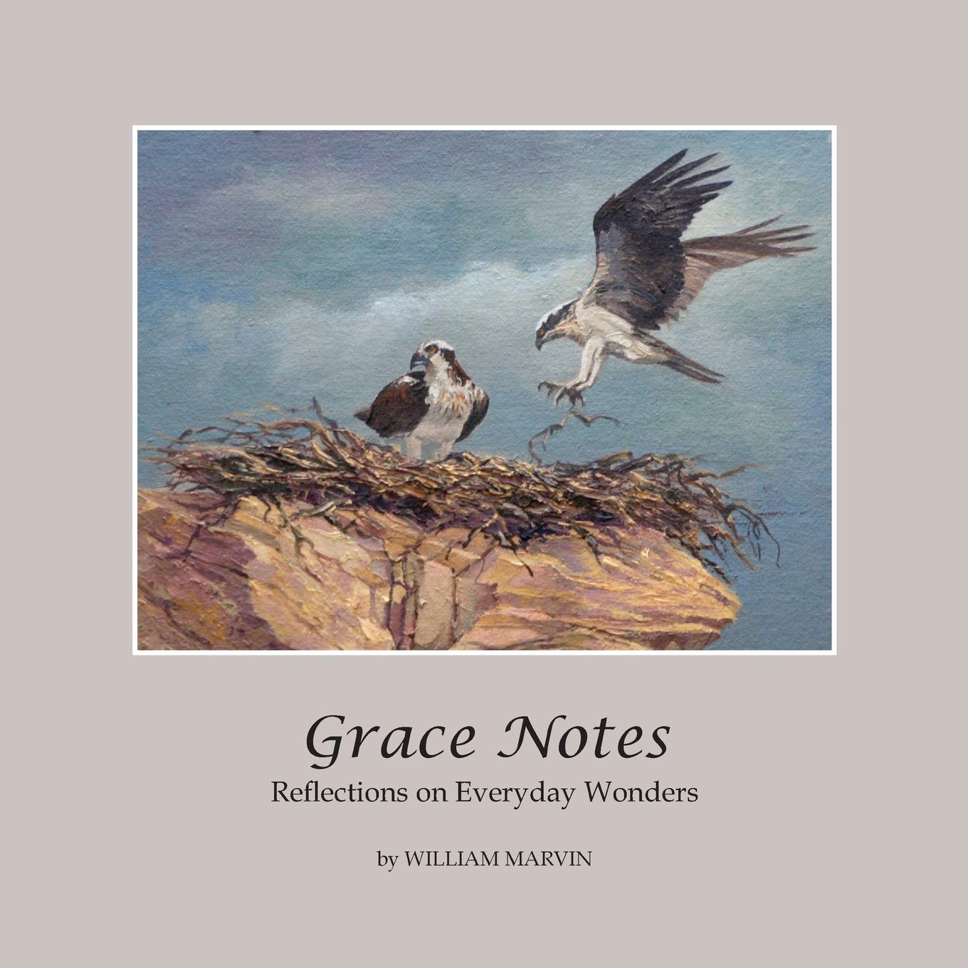 Grace Notes: Reflections on Everyday Wonders