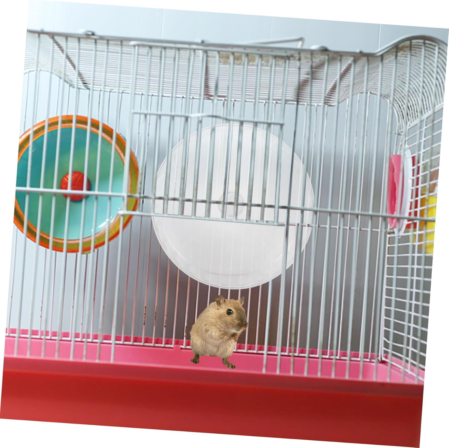 Toddmomy Silent Hamster Running Wheel Large 12-Inch Exercise Wheel for Hamsters Chinchillas Gerbils Sturdy Crystal Design Dual Bearings for Smooth Operation