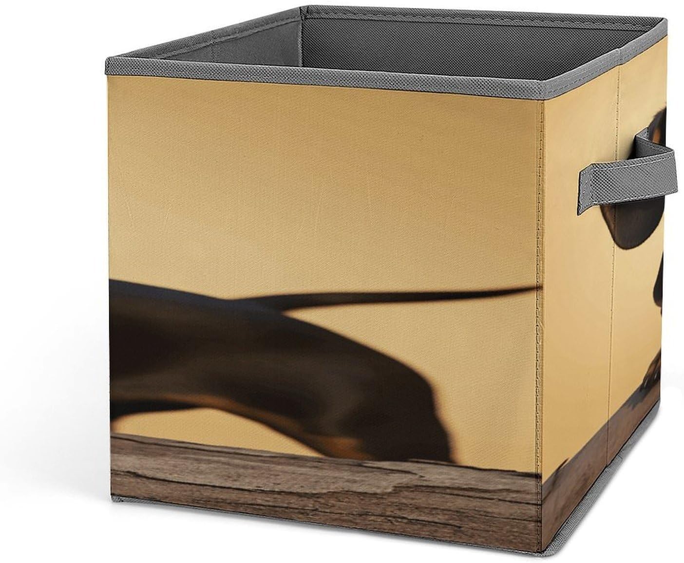 A Cute Dachshund Fabric Bins Storage Basket Square Baskets | Storage Bin with Double Handles,Cube Collapsible Organizers for Organization,Closet,Shelves,Offices