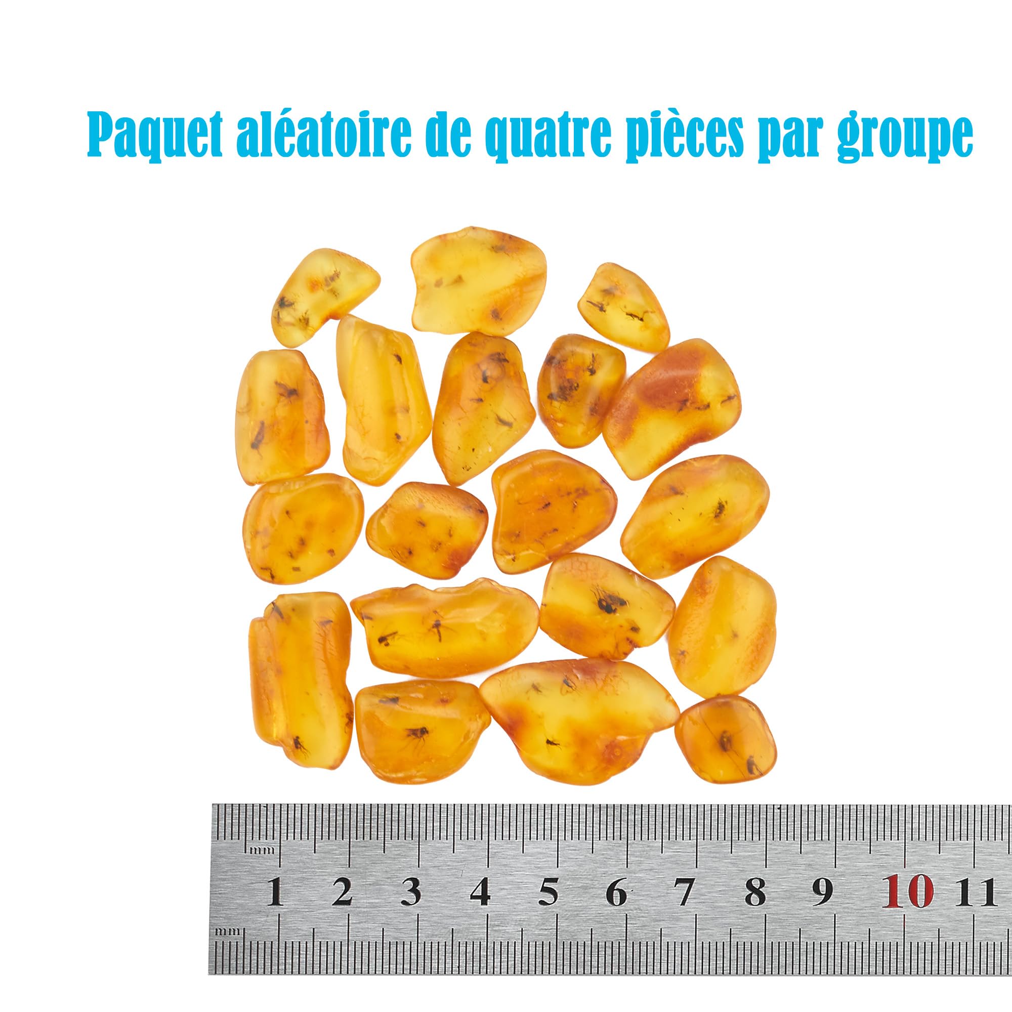 Natural Baltic Ambre avec Insecte - Ensemble de 4 spécimens fossiles d'insectes ambrés - adapté aux Collections et à l'éducation Scientifique (Fossile d'ambre avec Insectes Multiples)