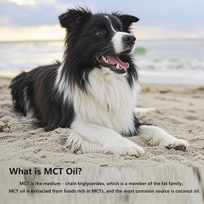 Aceite MCT para Perros - 90 porciones - Pleasantly Warm miniatura 3