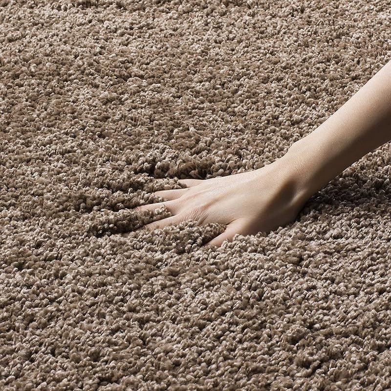 Image of SAGON Anti-Skid Shaggy Carpet Rug for Home | Ultra-Soft Plush Floor Mat for Living Room & Bedroom | Non-Slip, High-Density, Cozy Luxury Decor| 6 x 9 Feet Mouse
