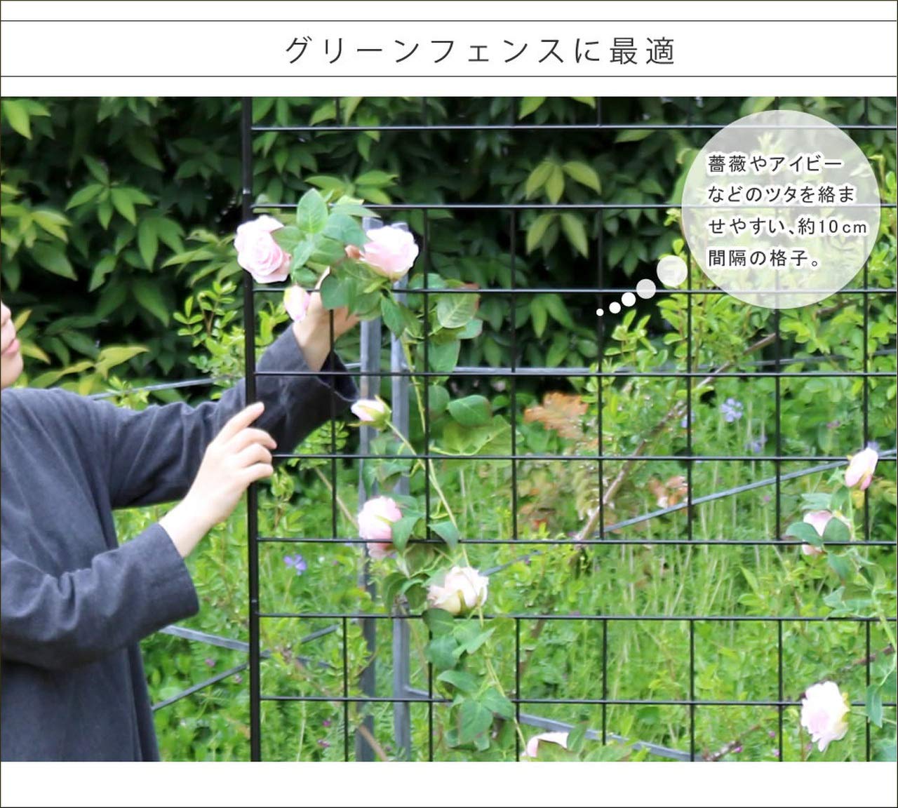 Amazon | フェンス アイアン 高さ75 ガーデニング 柵 間仕切り 目隠し