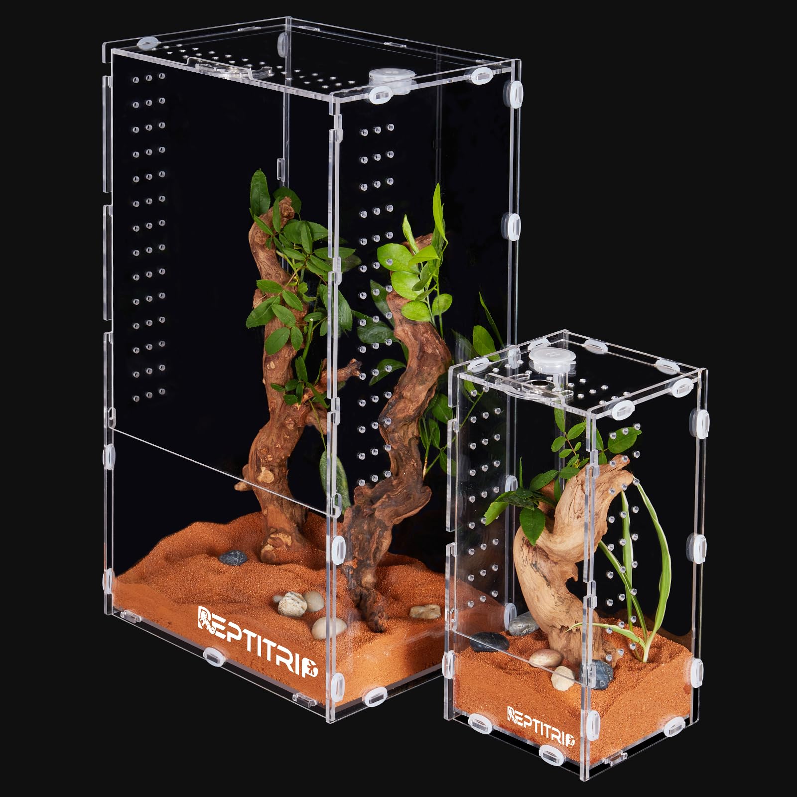 Arboreal Tarantula Enclosure visitchile.cl