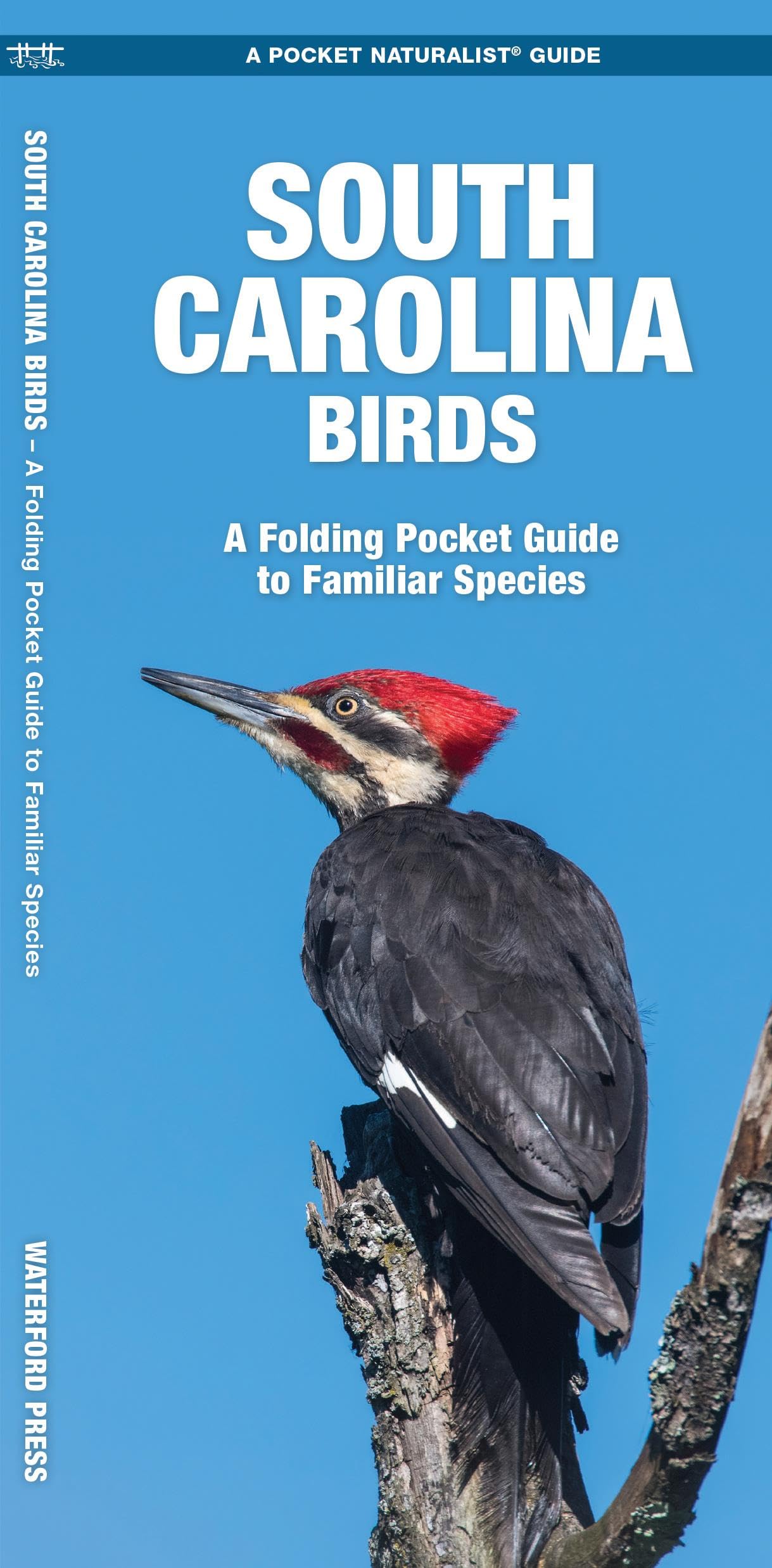 South Carolina Birds: A Folding Pocket Guide to Familiar Species (Nature Observation North America)
