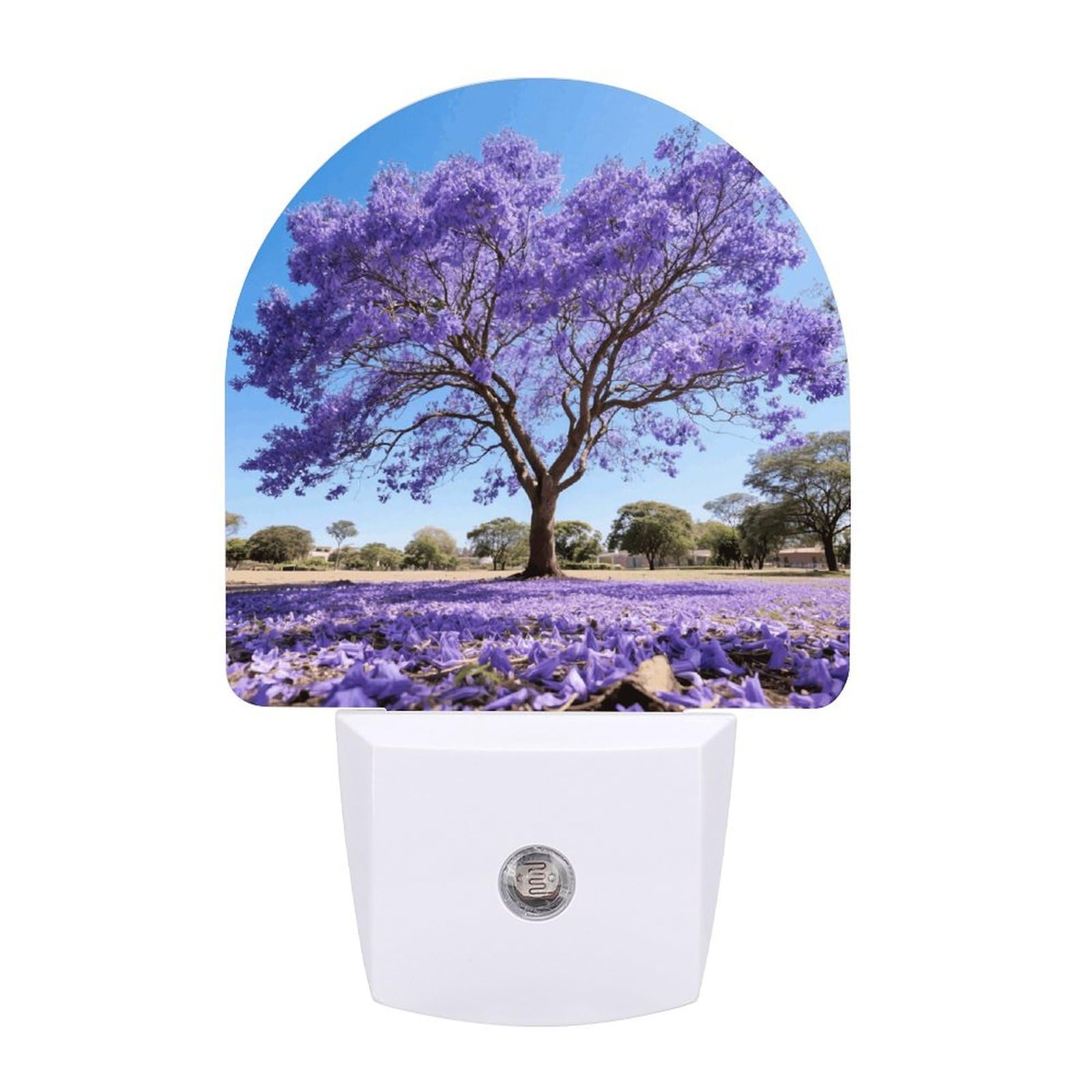 FodPand Night Light Plug Into Wall with Dusk to Dawn Sensor 0.5w Modern LED Jacaranda Plug in Night Lamp Warm White Glow Nightlight for Bedroom Hallway Kitchen Bathroom Stairs Corridor(Fan)
