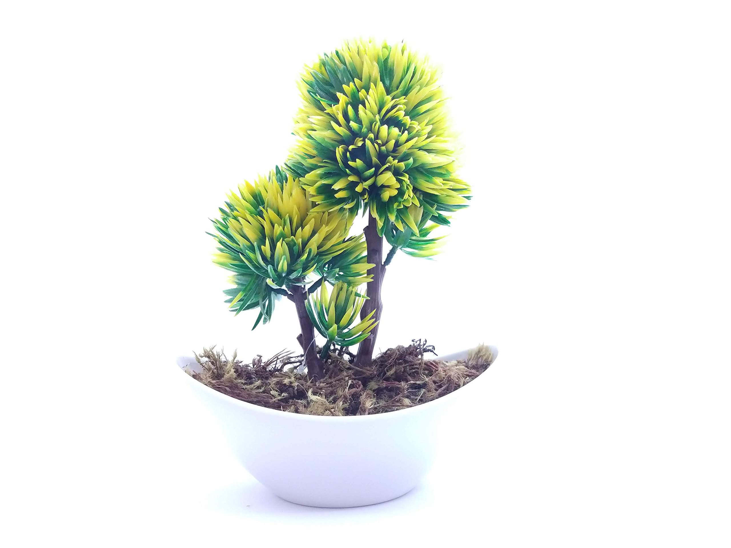 Bonsai (Step-by-Step Garden Guides)