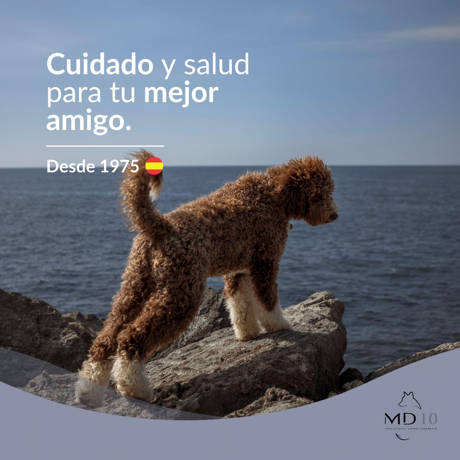 MD-10 COLLECTION Champú Perro de Agua (Pelo Marrón) 2 LTR
