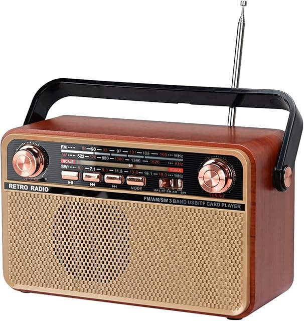 Portable Bluetooth FM AM SW Stereo Radio, Support USB Disk, USB/TF Card, AUX Jack - Music Playing with Rechargeable Battery, Built-in Speaker (R-505BT)