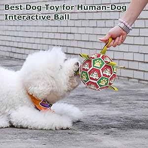 QDAN Christmas Dog Toys: Dog Soccer Ball with Straps for Outdoor Play, Tug of War, Puppy Gifts Durable 8-Inch Dog Balls for Medium Large Dogs