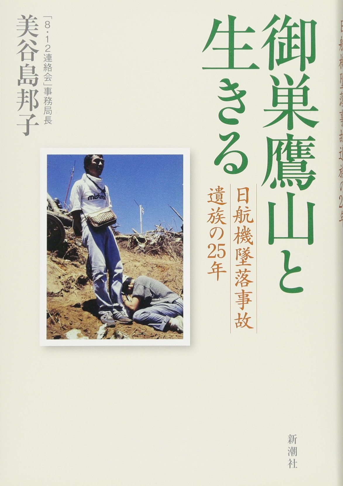 入手困難】日航機墜落事故対策従事功労
