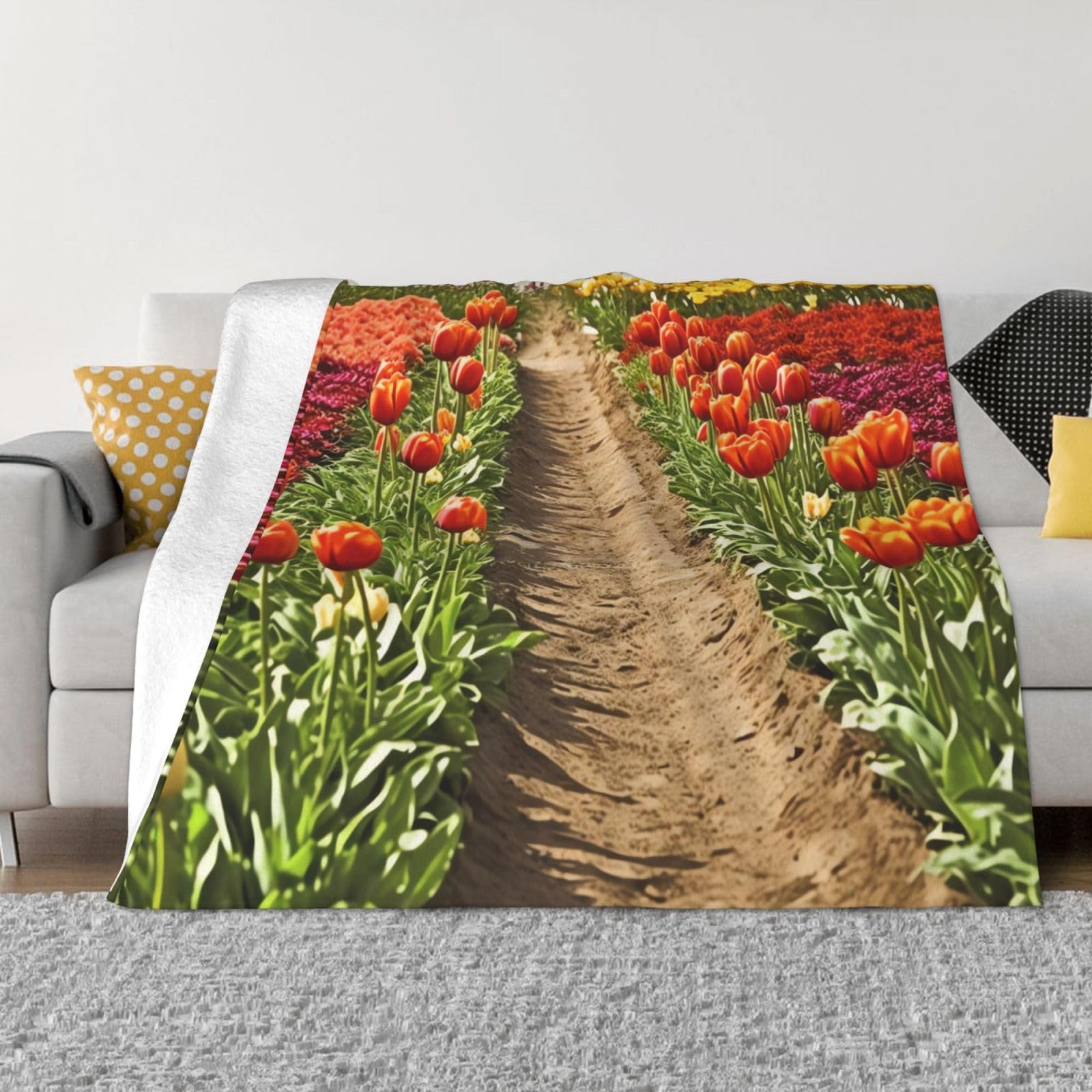Couverture pelucheuse chaude pour canapé et salon