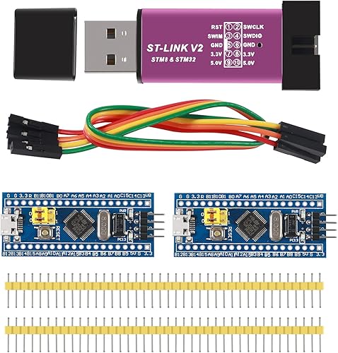 UMLIFE 1PCS ST-Link V2 Unidad de Programación Emulador Downloader (Color al azar) STM8 STM32 STM32 STLINK con 2PCS 40pin STM32F103C8T6 ARM STM32 SWD