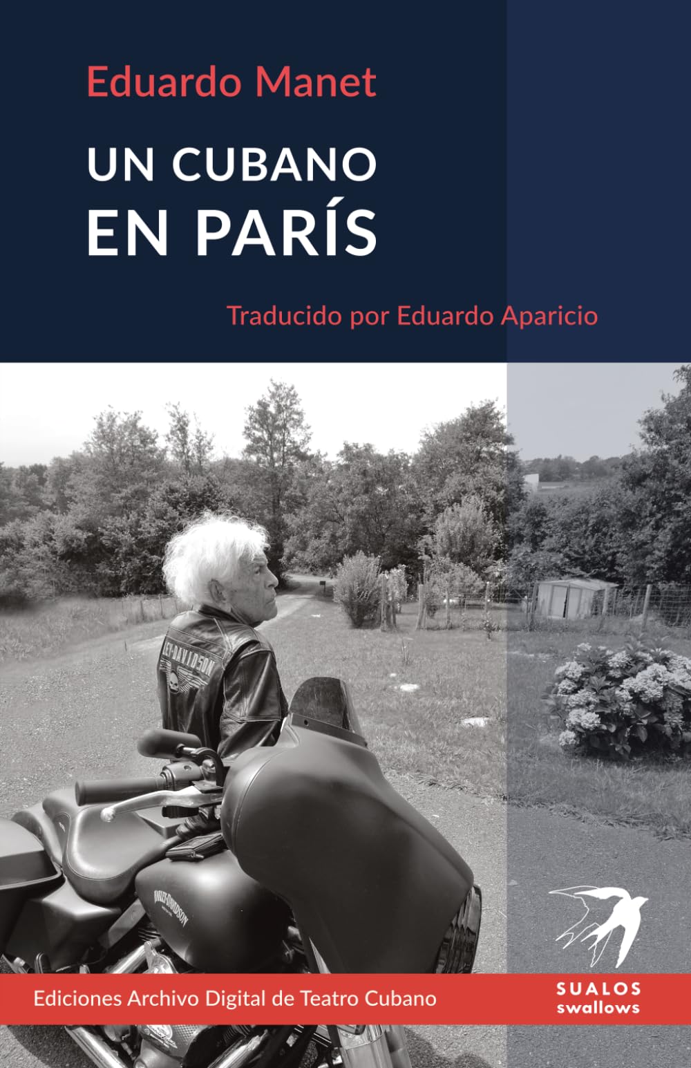 Un cubano en París