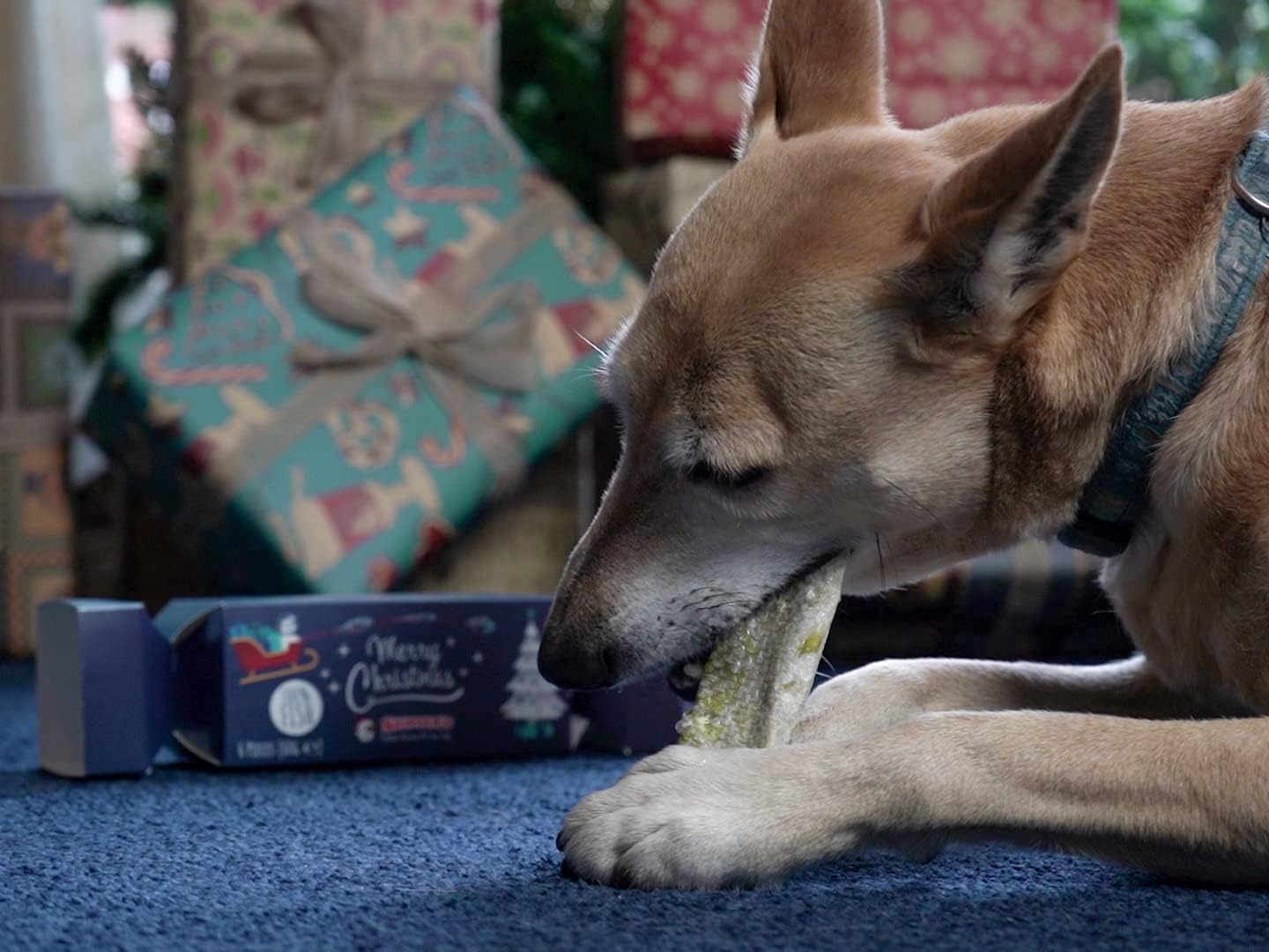SKIPPER'S Christmas Crackers for Dogs, Contains White Fish Skin Flatties, Handmade & Air Dried Crackers Dog Treats - Image 4
