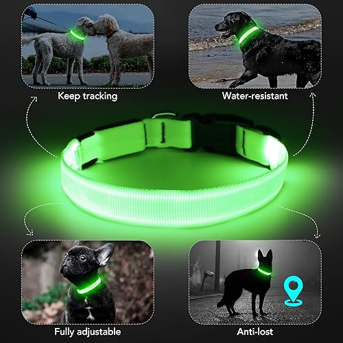 Miniatura 3 de Collar de perro iluminado por la noche, collar de perro con luces LED ajustable, collar de perro iluminado recargable impermeable, luces de perro
