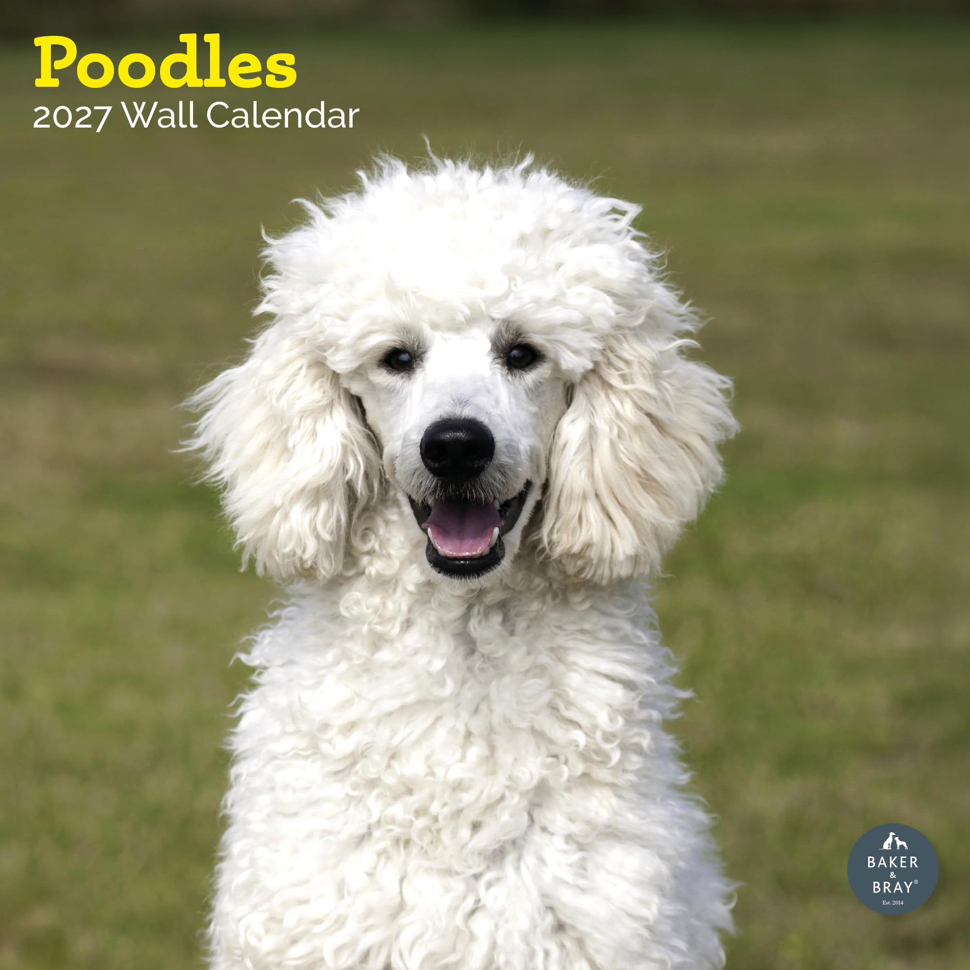 Baker and Bray Poodle Calendar 2027, Large